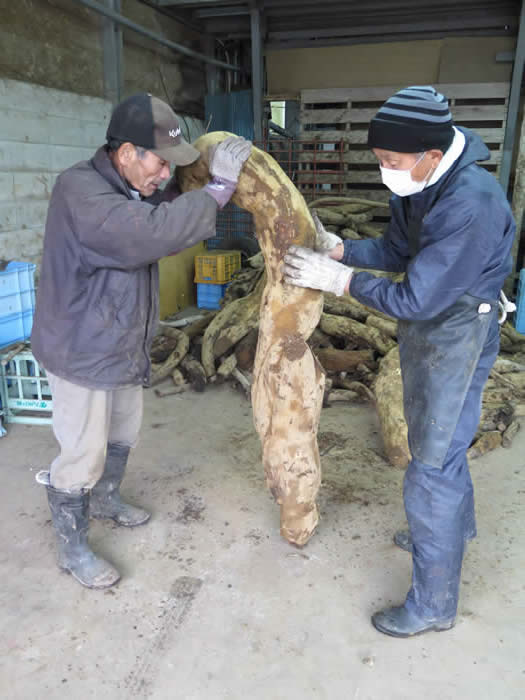 桃鉄グルメ、福岡