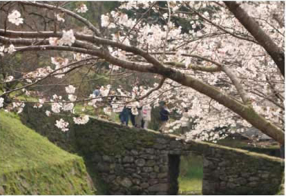 風景